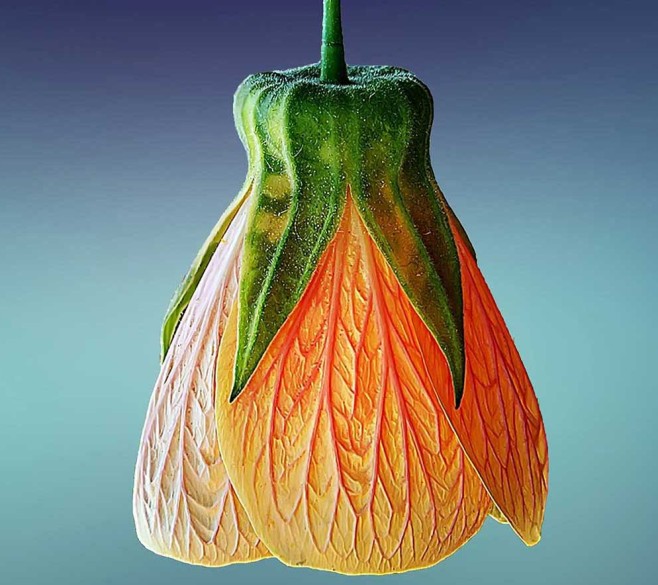 Test Ad as Selling Décor Plant